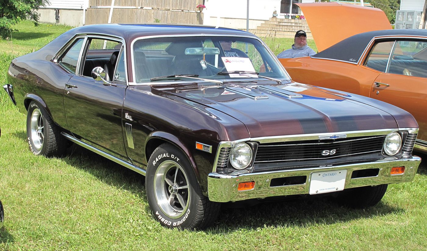 Burnished Brown 1969 Chevrolet Nova SS 396 coupe on grass at a car show, front three-quarter, with SS grille badge, 396 fender badge, twin hood inserts and aftermarket Magnum-style wheels