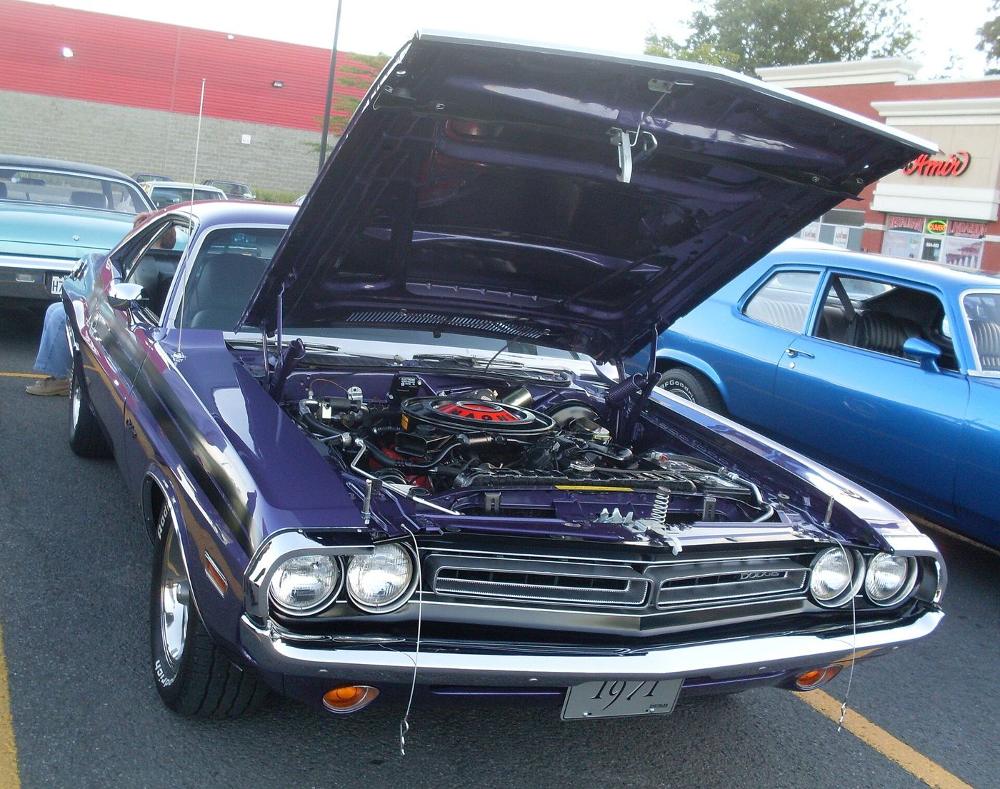 Purple 1971 Dodge Challenger at a car show with its hood open over the V8, showing the 1971 split grille