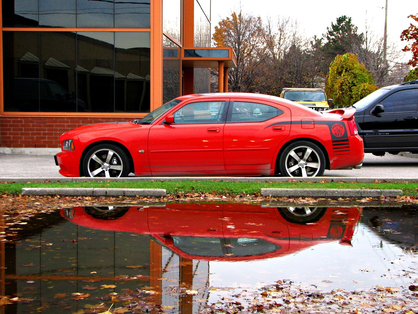 Red 2009 Dodge Charger SRT8 Super Bee in profile, with black Super Bee graphics on the rear quarter