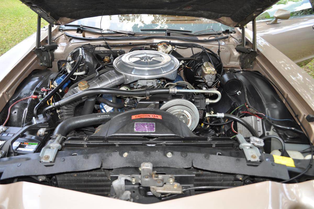 Engine bay of a 1977 Ford Ranchero GT with a V8 under a chrome air cleaner, tan inner fenders and the fan shroud warning label