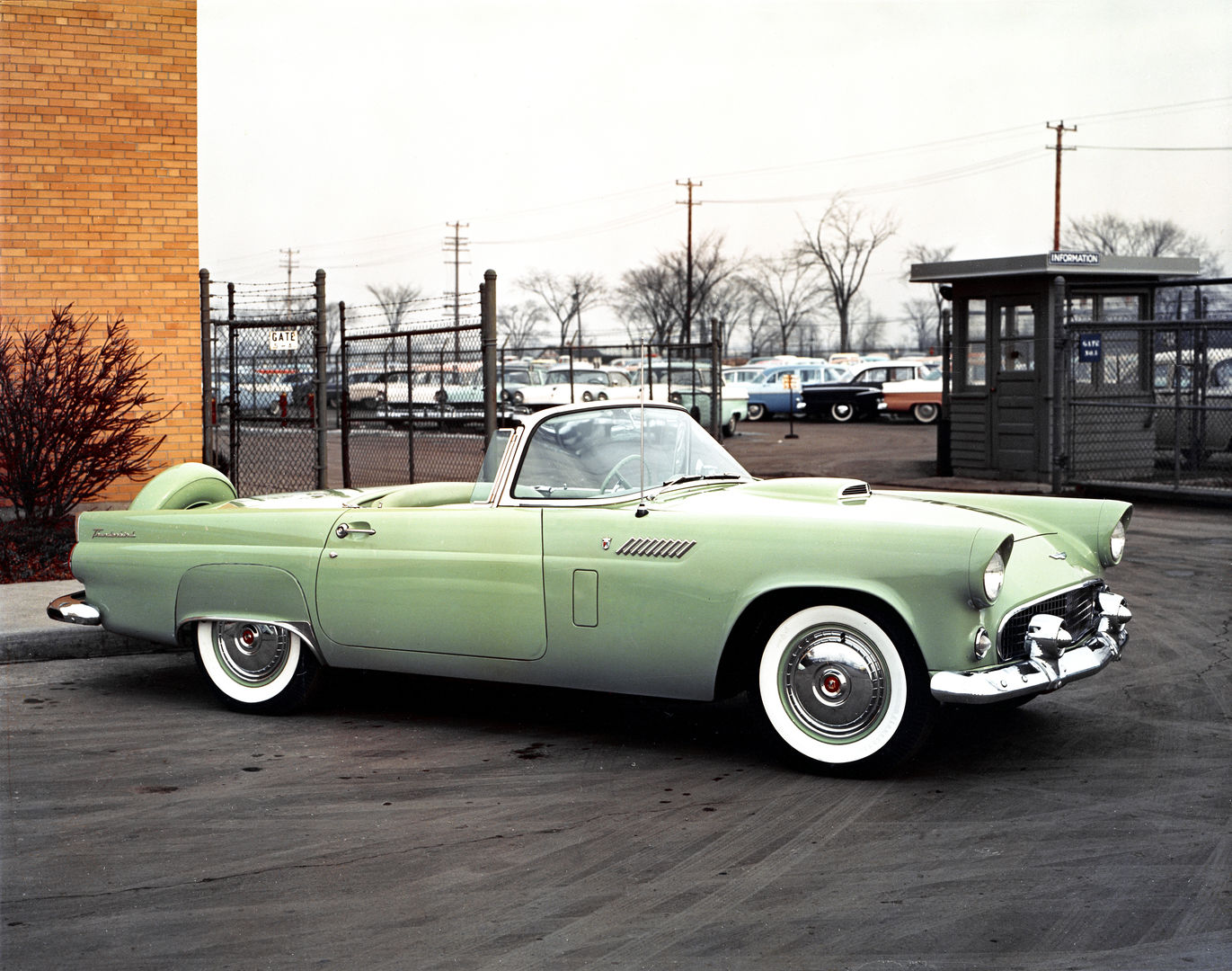 Pale green 1956 Ford Thunderbird two-seater in a factory lot, front three-quarter view, showing the continental spare tire and fender vents