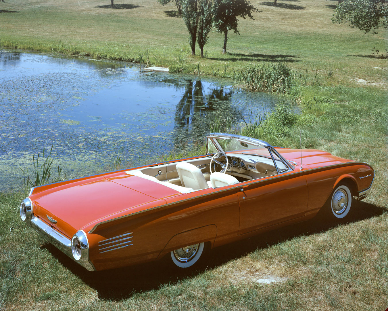 Red 1961 Ford Thunderbird convertible with a white interior on grass beside a pond, rear three-quarter view showing the bullet-shaped body