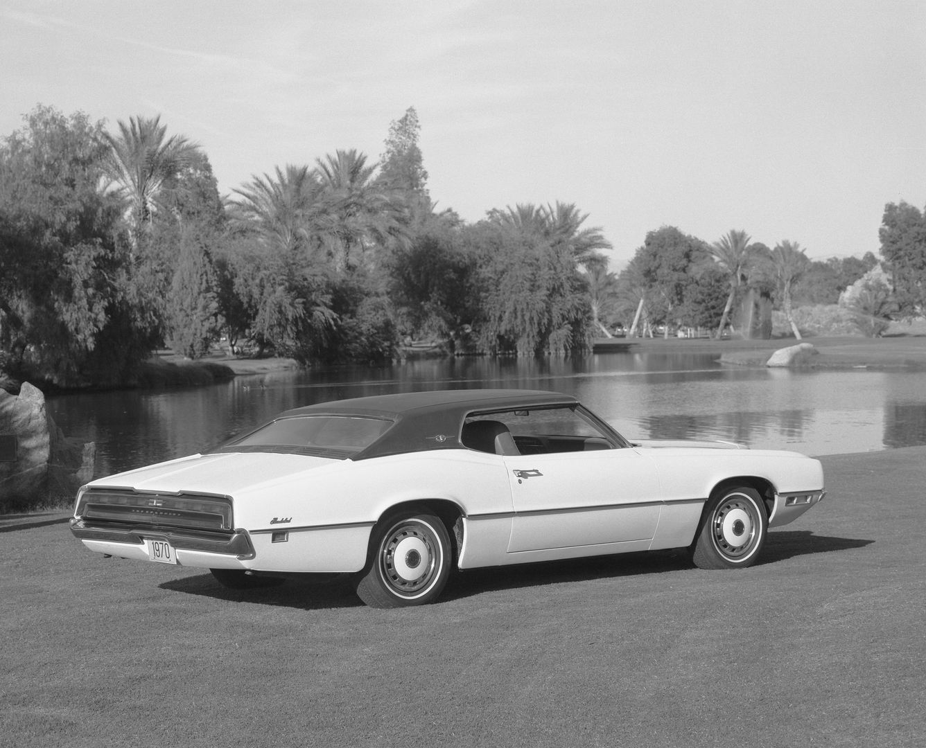 Black-and-white photo of a white 1970 Ford Thunderbird hardtop with a dark roof beside a palm-lined lake, rear three-quarter view