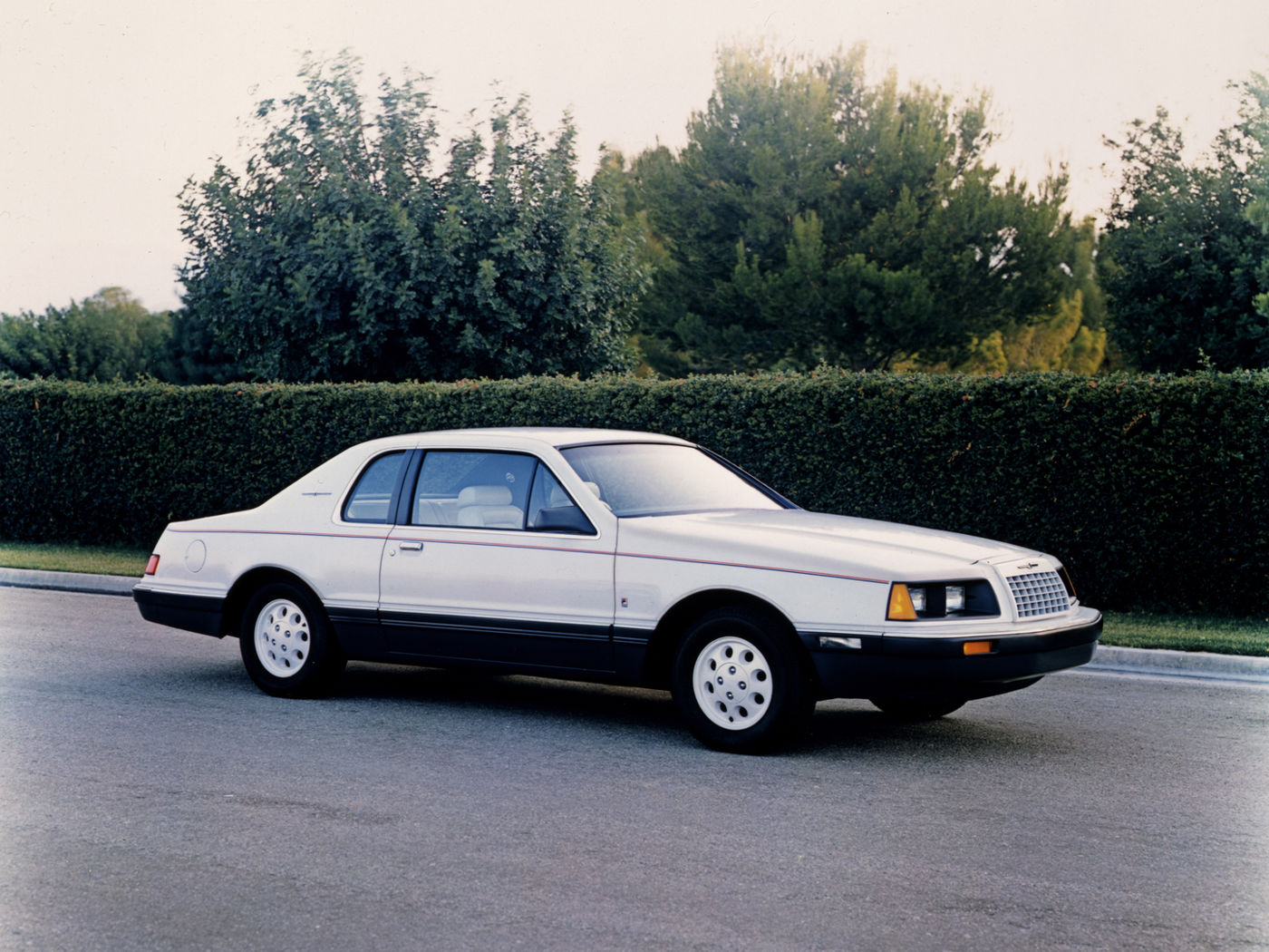 White 1984 Ford Thunderbird coupe on a road beside a hedge, front three-quarter view