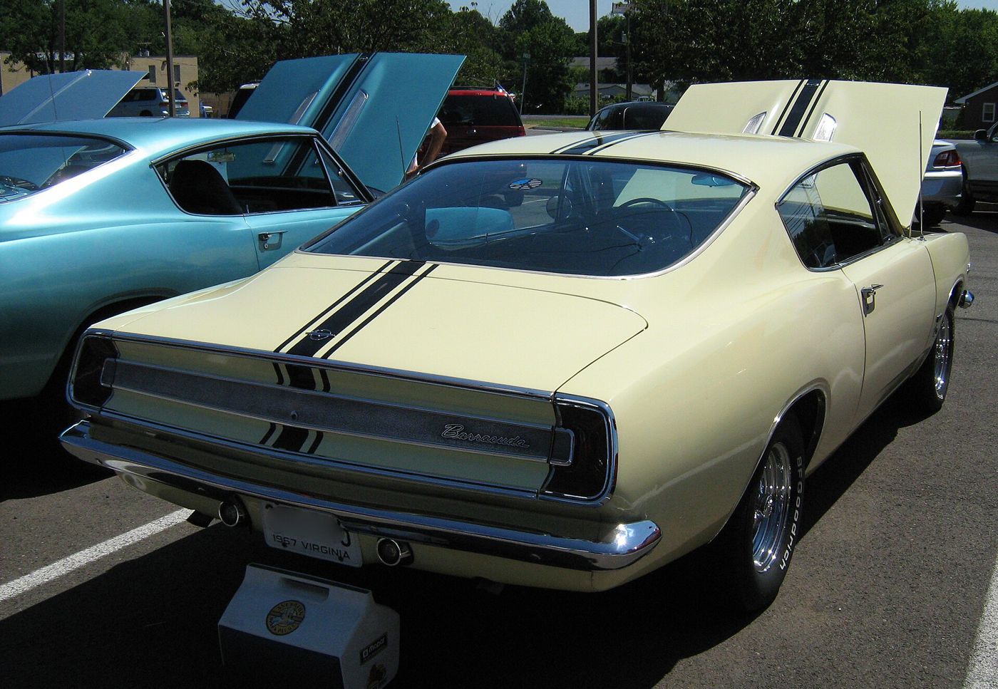 Cream 1967 Plymouth Barracuda fastback with black deck-lid stripes, trunk and hood raised at a car show