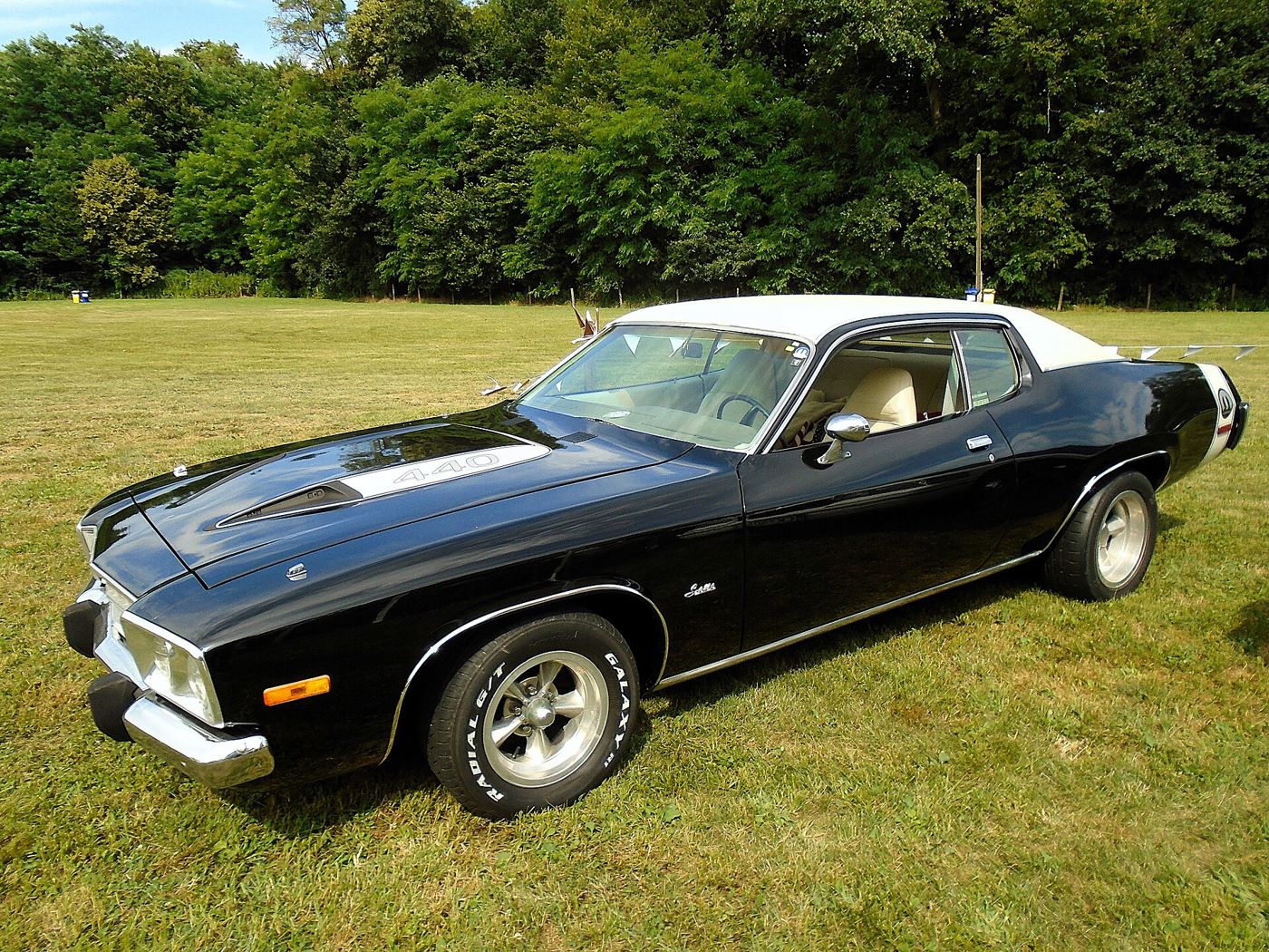 Black 1973 Plymouth Satellite Sebring with white vinyl roof and hood stripe, front three-quarter on grass