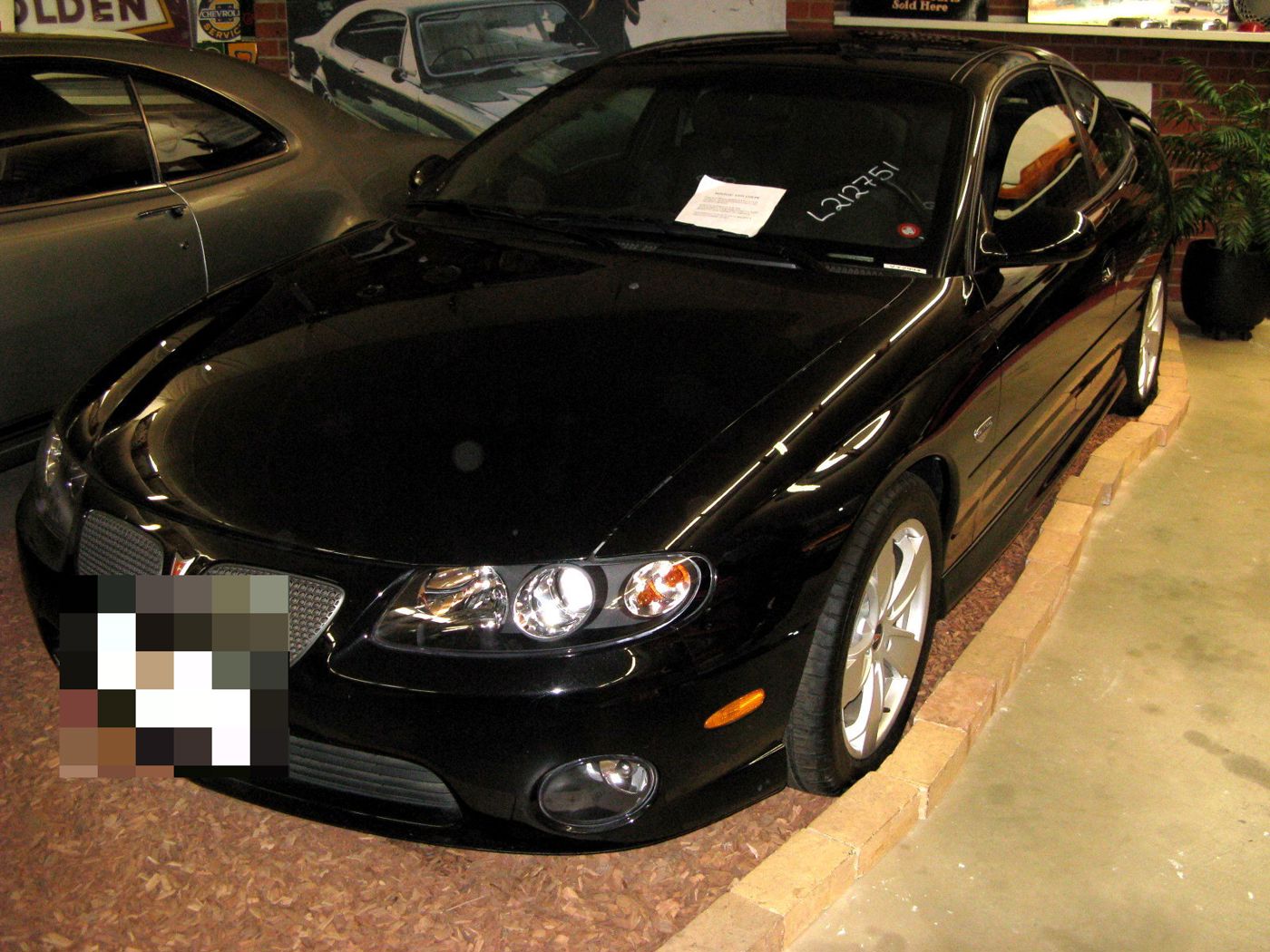 Black 2004 GTO coupe with its split mesh grille and smooth hood, front three-quarter on display indoors